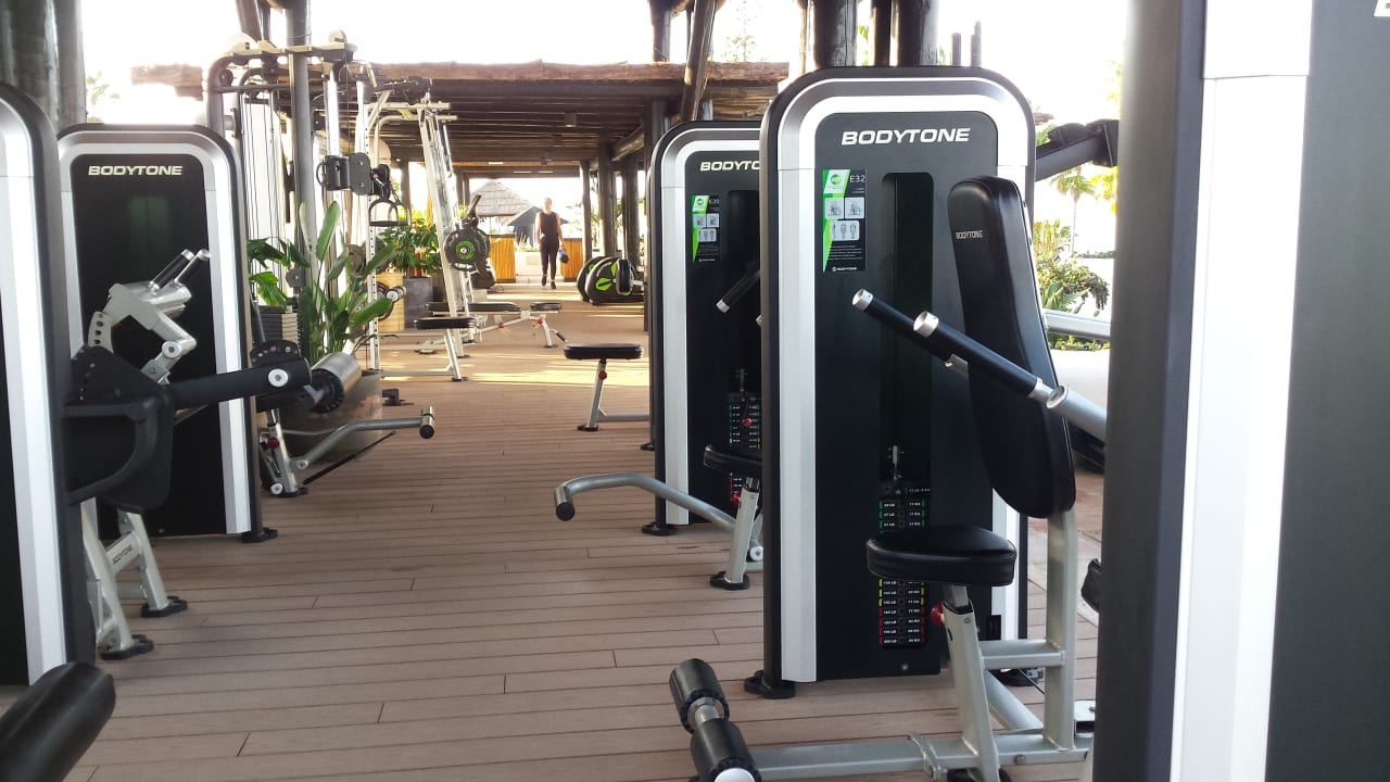 Sport & Freizeit Dreams Jardín Tropical