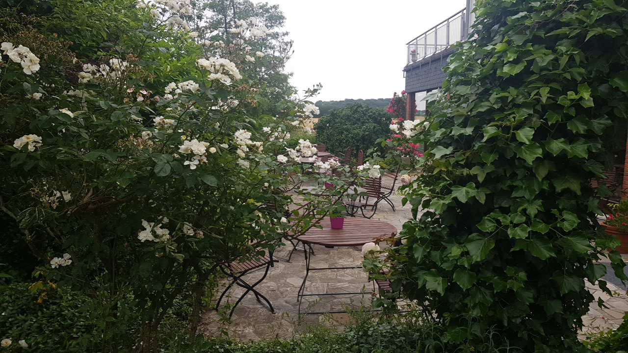 Gartenanlage Landhaus Ostseeblick