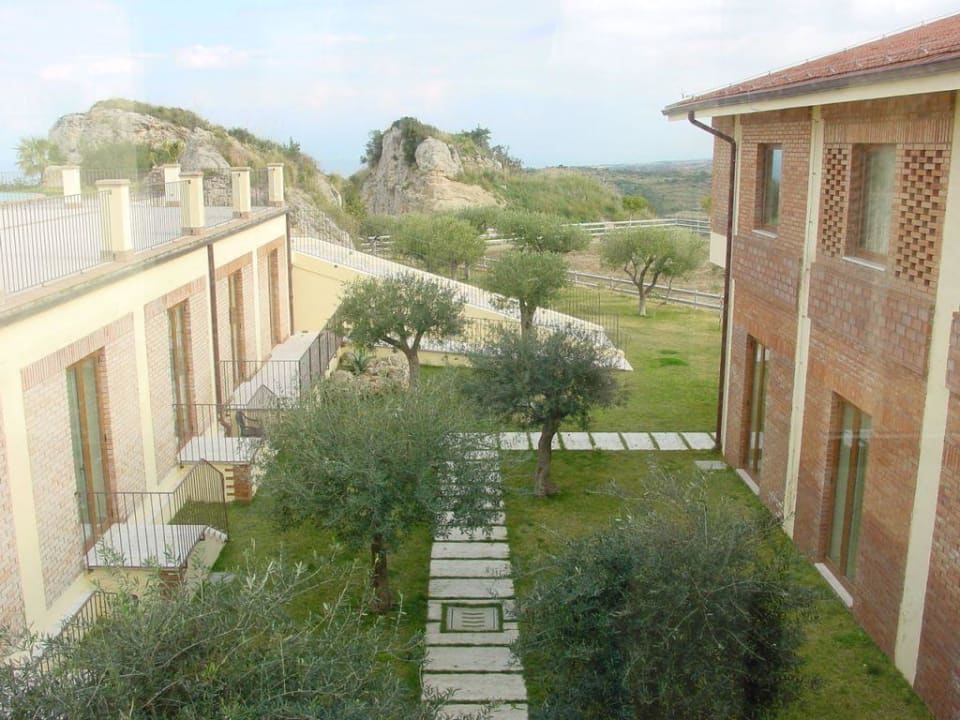 Il Parco degli Ulivi Il Parco Degli Ulivi