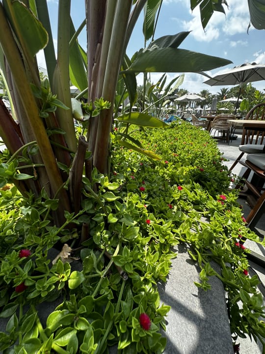 Sonstiges Hotel Miramare Beach