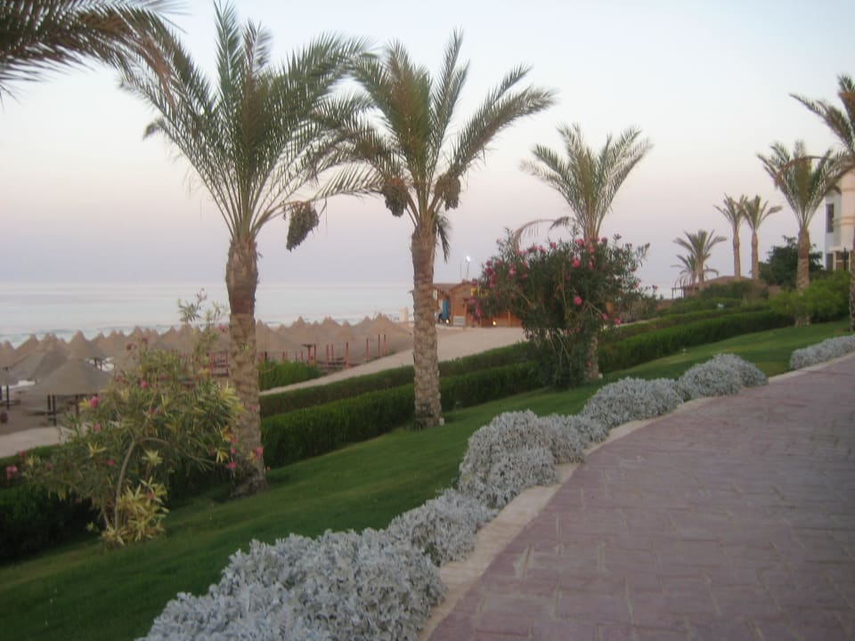 Anlage mit Hotelstrand Hintergrund Serenity Alpha Beach