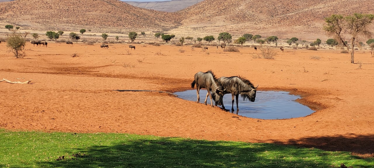 Ausblick We Kebi Safari Camp