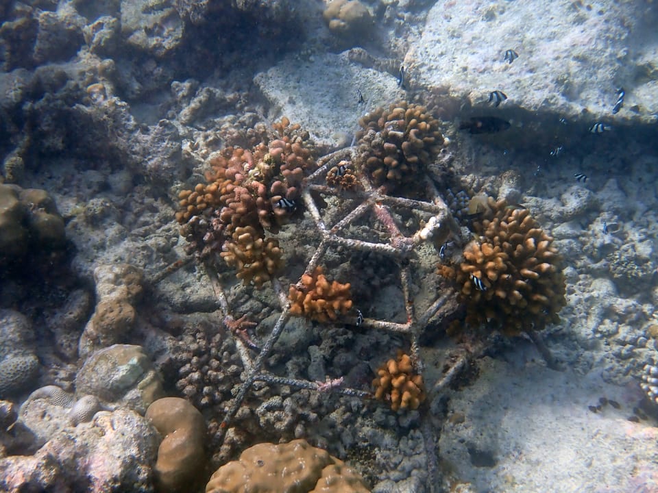 Strand Reethi Faru Resort