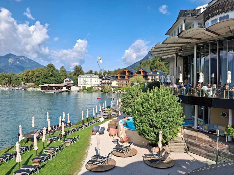 Sonstiges Scalaria Sunset Wing