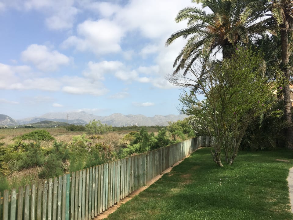 Ausblick PortBlue Club Pollentia Resort & Spa