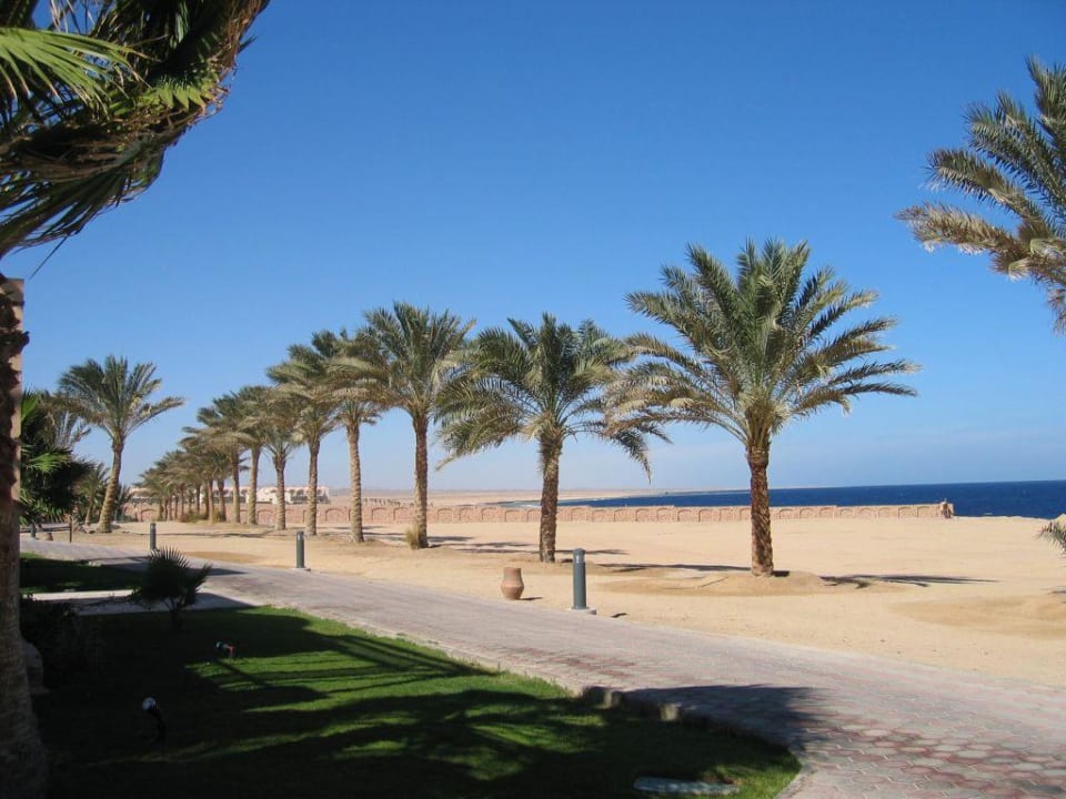 Blick Richtung Nachbarhotel Steigenberger Coraya Beach - Adults only