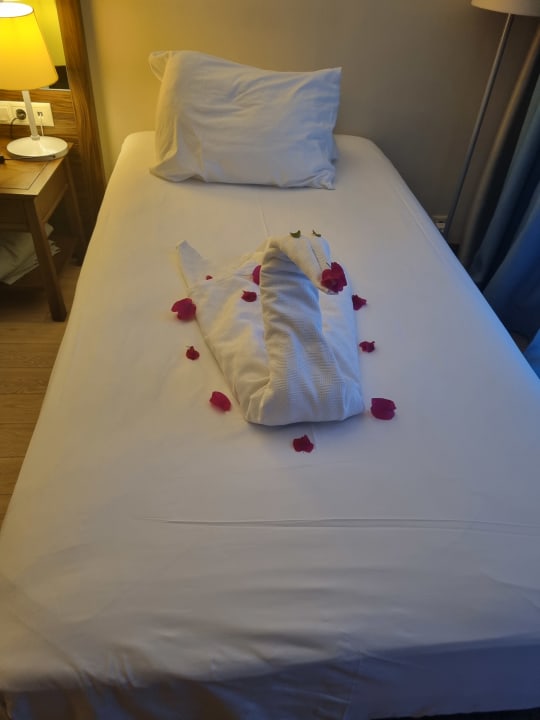 Zimmer Seven Seas Hotel Life