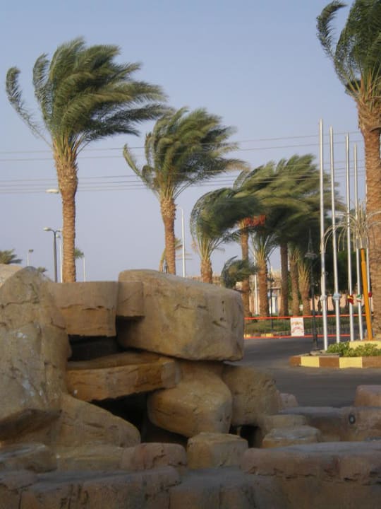 Красота Pickalbatros Alf Leila Wa Leila Resort - Neverland Hurghada