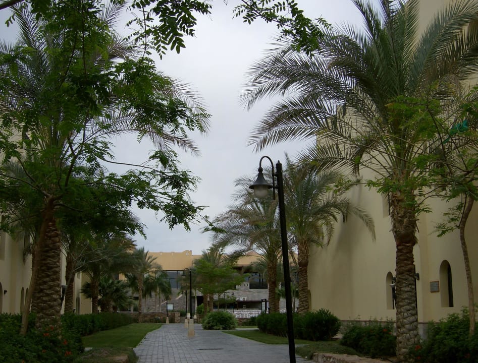 Дорога в осн.ресторан. Stella Garden Resort & Spa, Makadi Bay