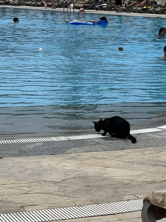 Pool VONRESORT Golden Coast