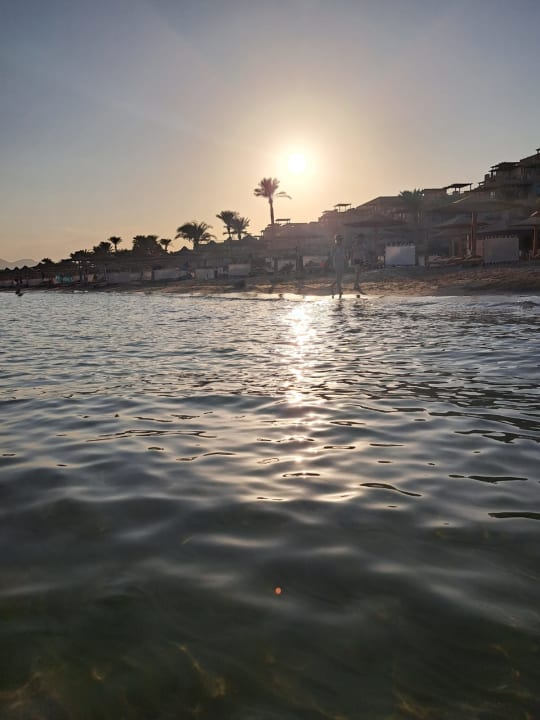 Strand Shams Prestige Abu Soma-Adults Only