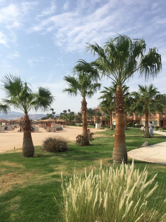 Gartenanlage Shams Prestige Abu Soma-Adults Only