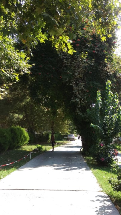 Am Weg ins Zimmer Dogan Paradise Beach