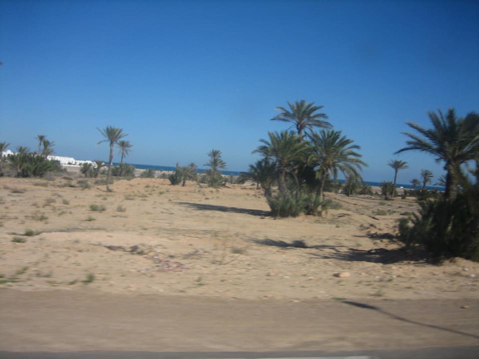 Hotel Ksar Djerba The Ksar Djerba Charming Hotel & SPA