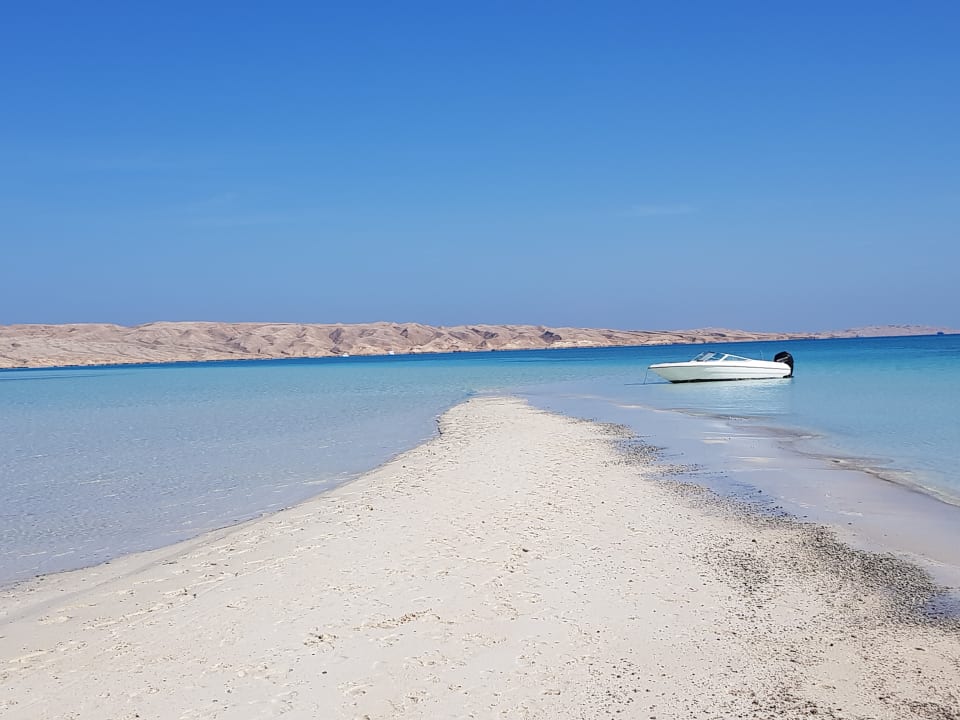 Ruhe und Entspannung nach dem Schnorcheln... Pickalbatros Citadel Resort