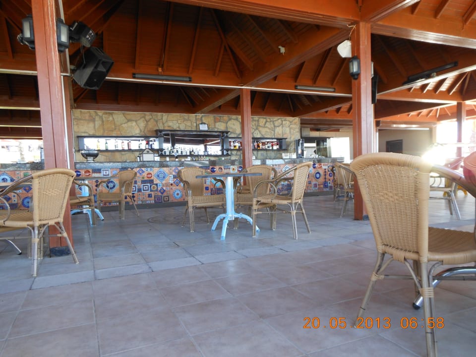 Immer sehr sauber Papillon Belvil