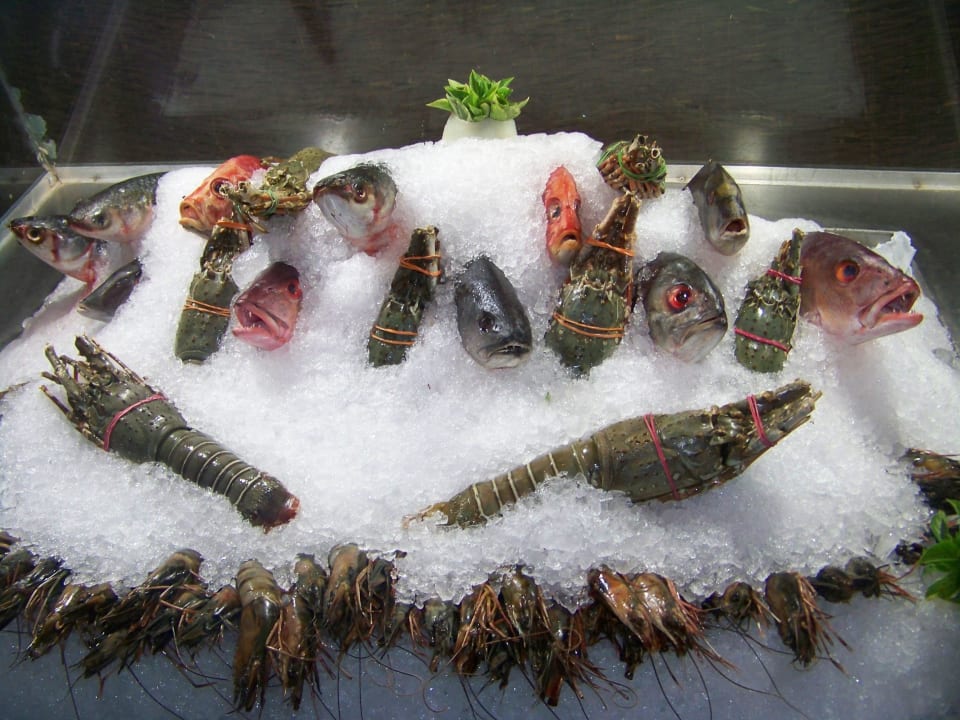 Strandbar Ghazala Beach