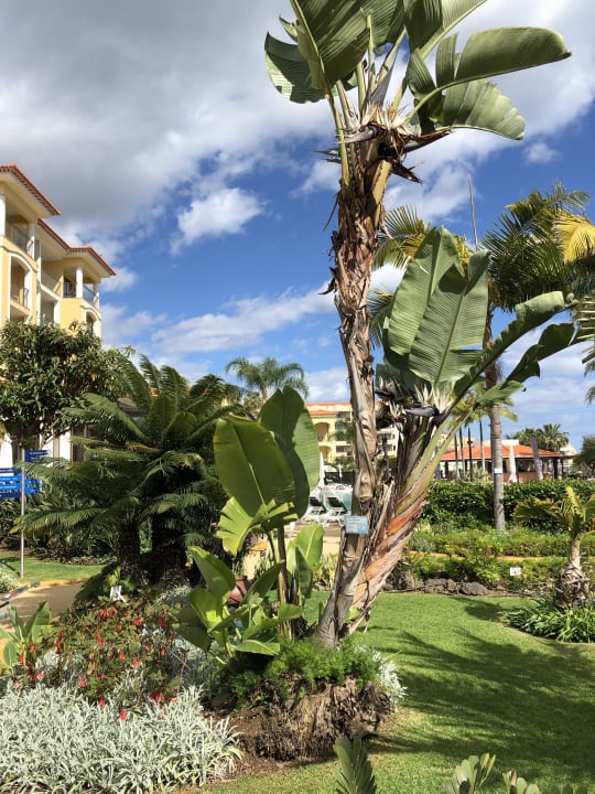 Gartenanlage Suite Hotel Eden Mar - PortoBay