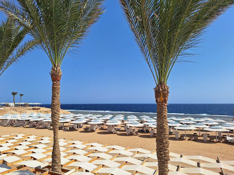 Strand JAZ Neo Reef Marsa