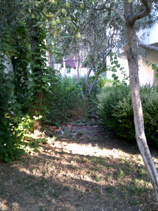 Gartenanlage Hanay Suite Hotel