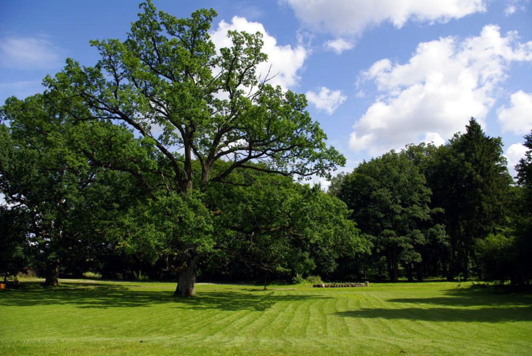 Park Hotel Dwór Kaliszki