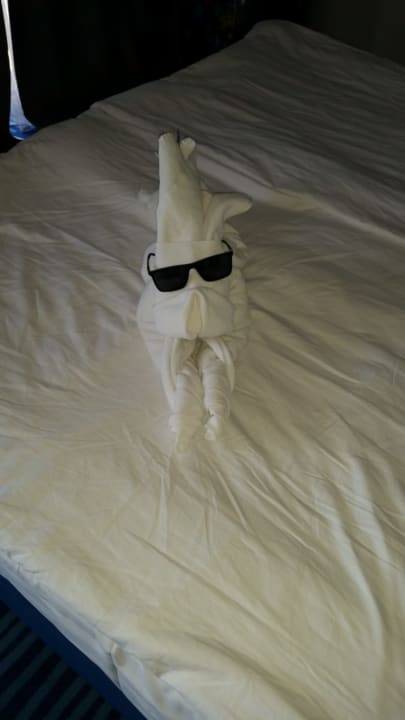 Zimmer HVD Viva Club Hotel