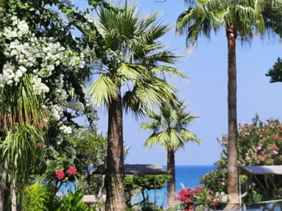 Außenansicht Crystal Springs Beach Hotel