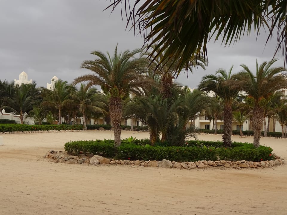 Gartenanlage Hotel Riu Karamboa