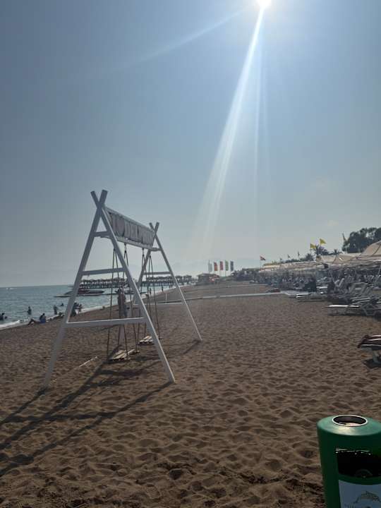 Strand Delphin BE Grand