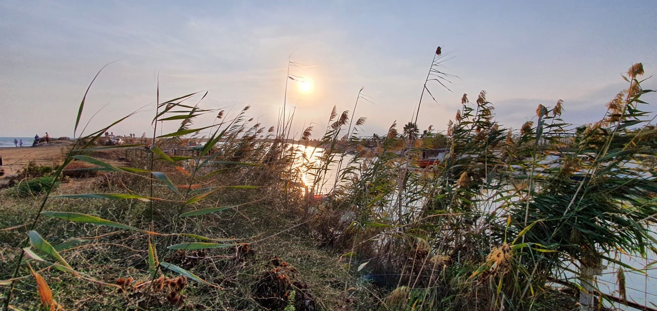 Strand Aydinbey Kings Palace & Spa