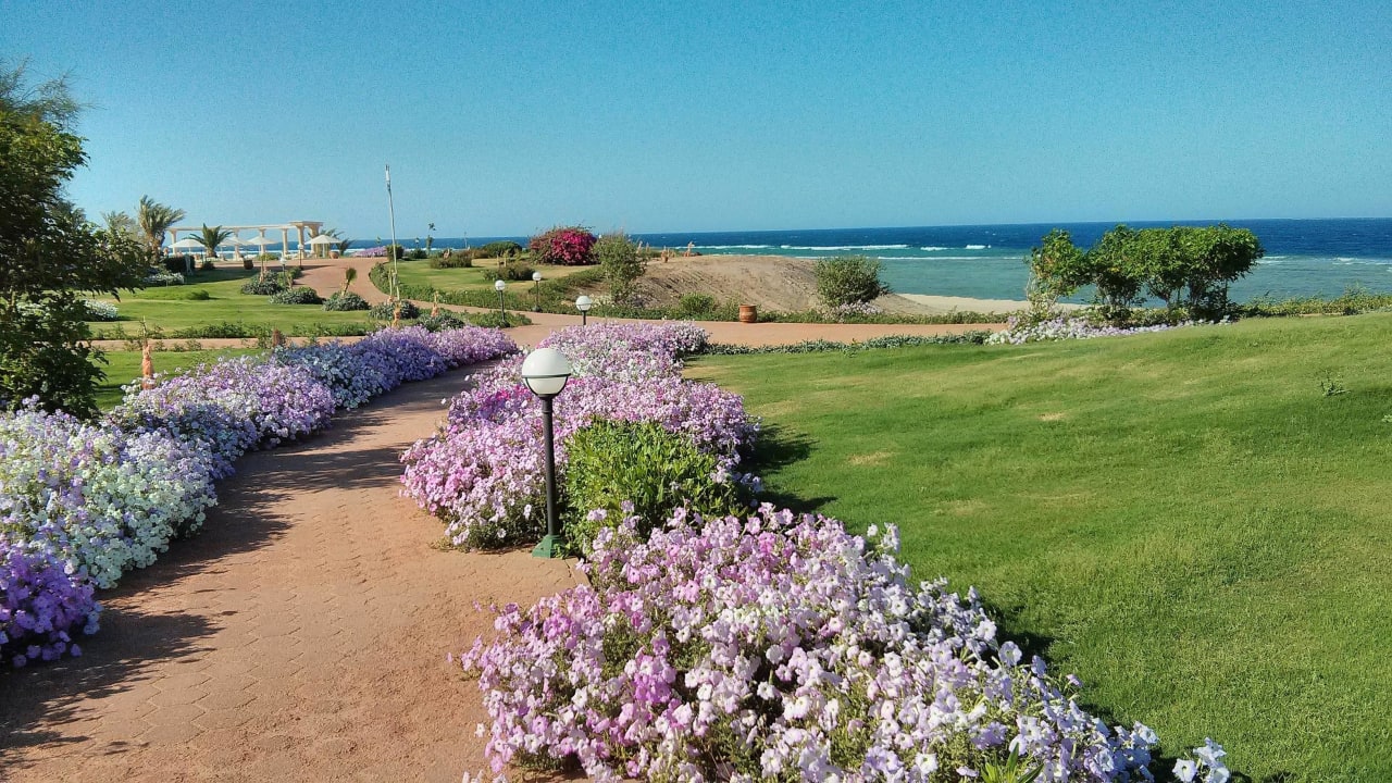 Ogród Three Corners Equinox Beach Resort