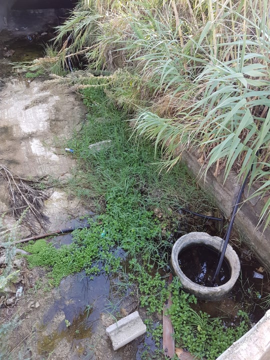 Sonstiges Sandy Beach Resort