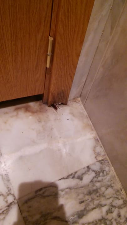 Sonstiges Maspalomas Princess