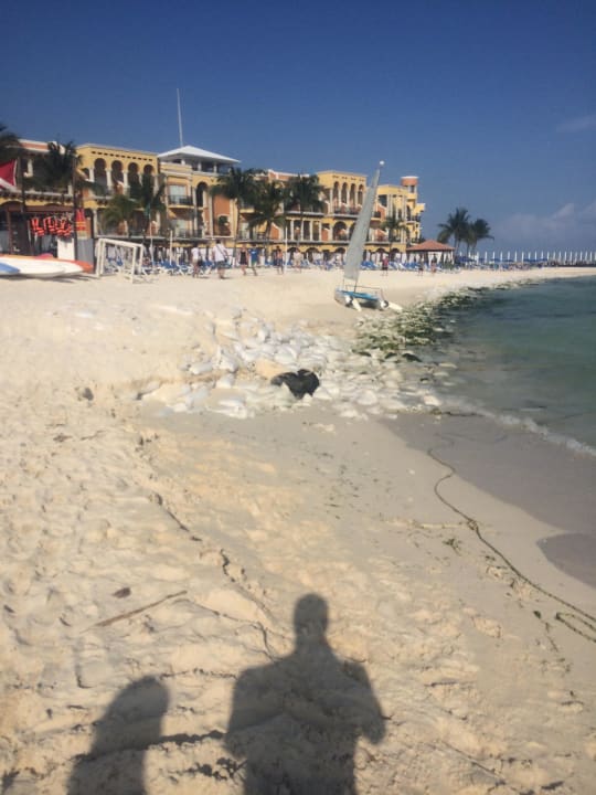 Gran porto Real Playa Del Carmen Wyndham ALLTRA Playa del Carmen