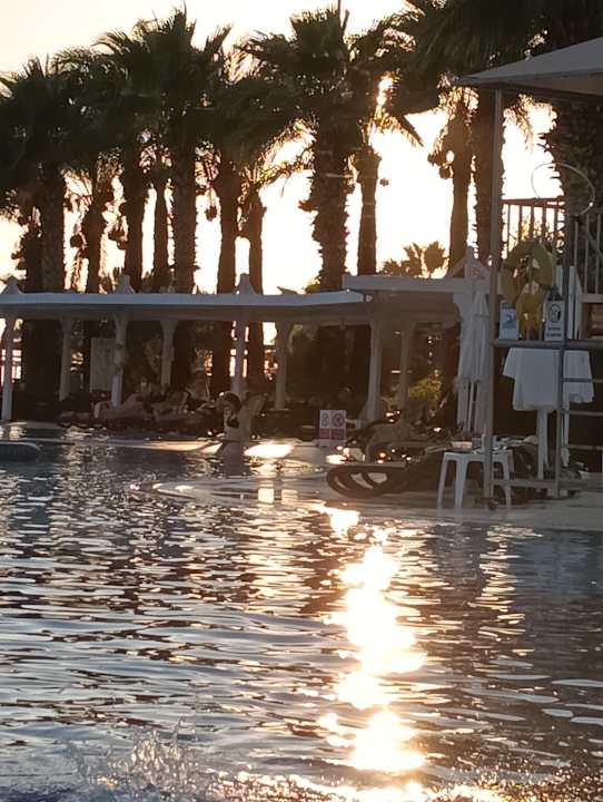 Pool Calimera Serra Palace
