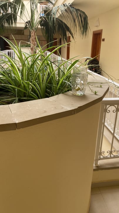 Sonstiges Playa Garden Selection Hotel & Spa