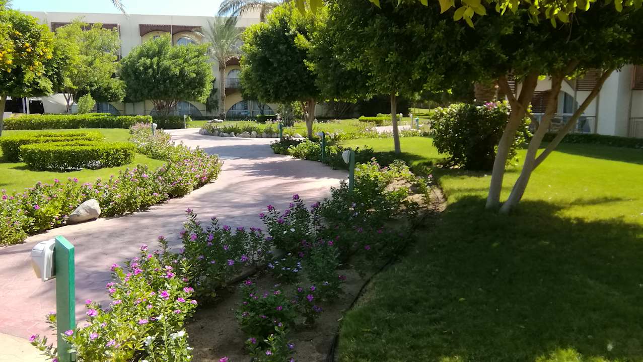 Gartenanlage Desert Rose