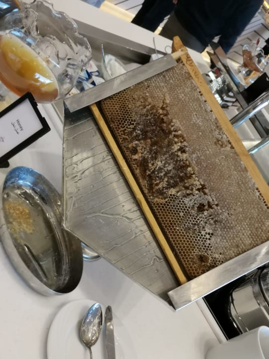 Gastro Hilton Hurghada Plaza