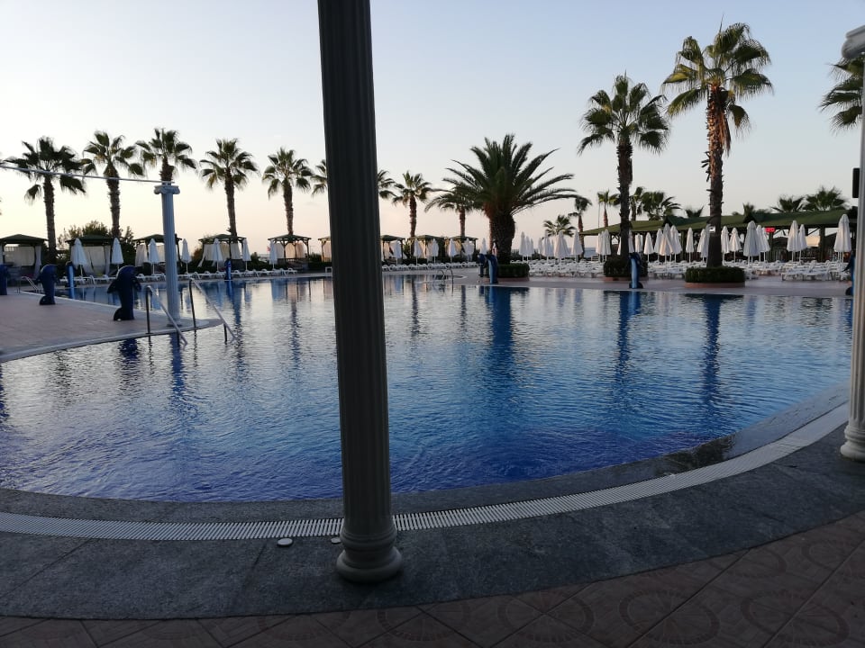 Pool Hotel Botanik Platinum