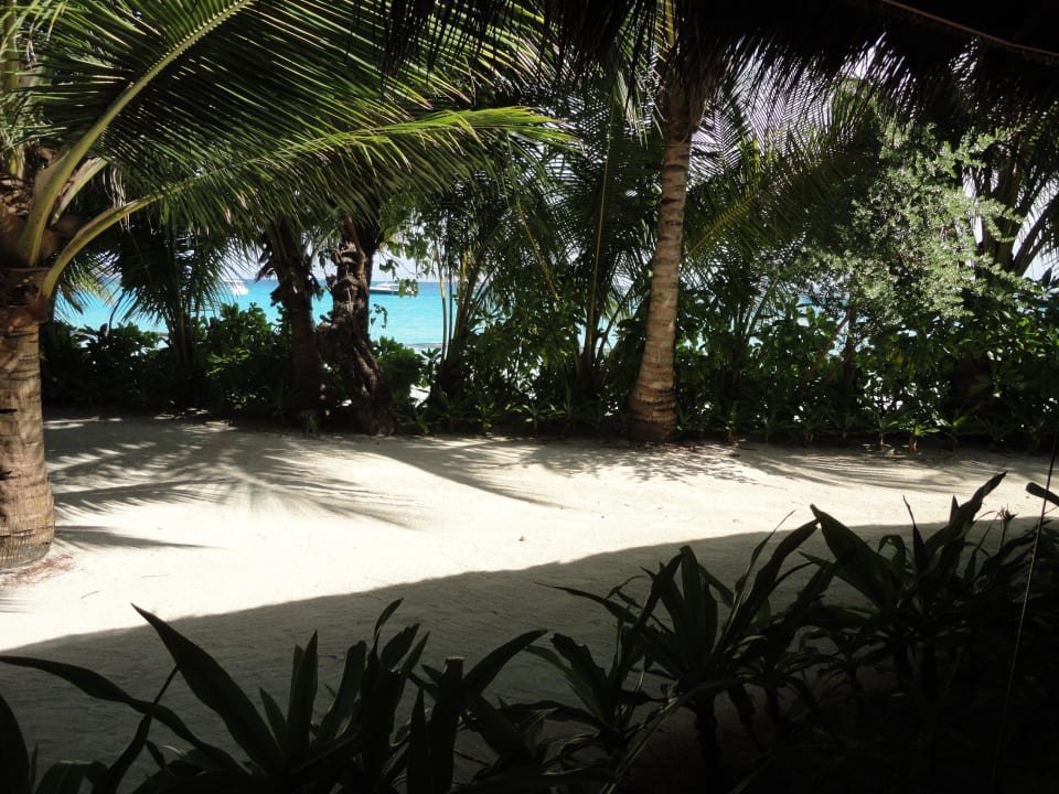 Haruge - Blick vom Tisch Kuramathi Maldives