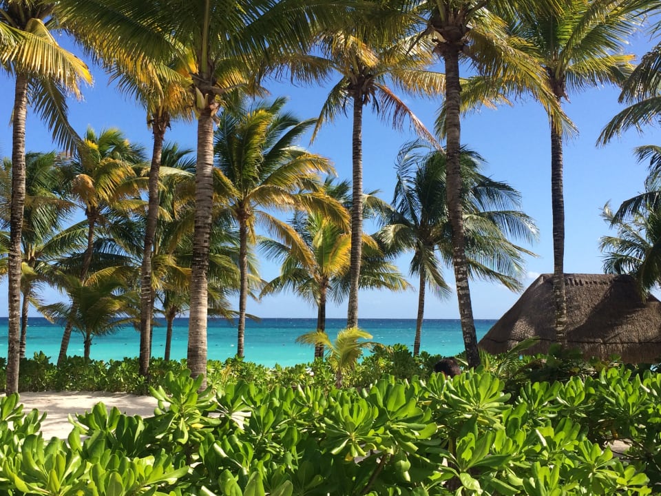 Strand Catalonia Royal Tulum Beach & Spa Resort - Adults only