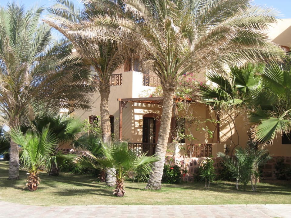 Bungalow Steigenberger Coraya Beach - Adults only