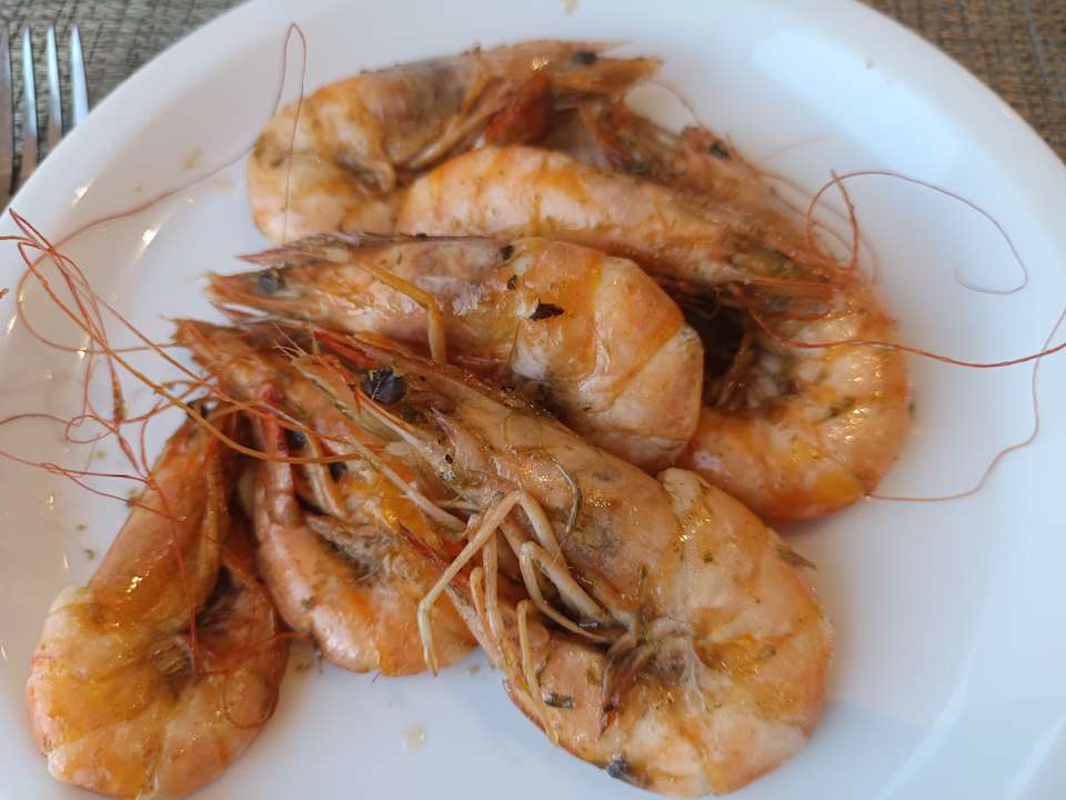 Gastro Hotel Royal Nozha