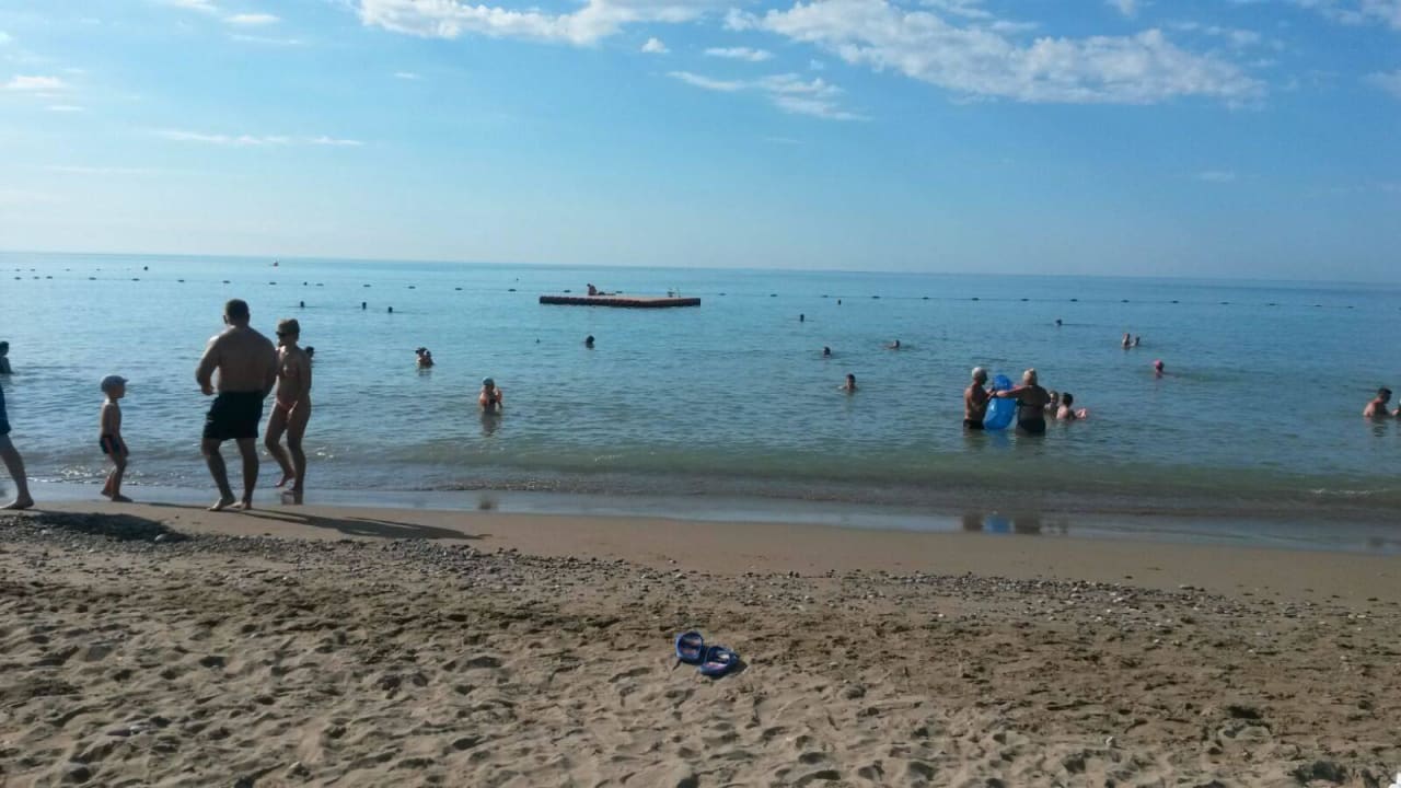 Toller Strand Papillon Ayscha