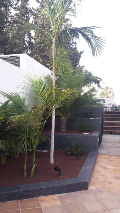 Gartenanlage  LABRANDA Marieta - Adults only