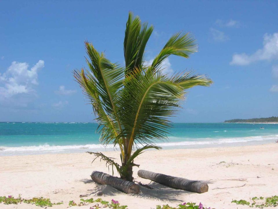 Palme am Strand Punta Cana Princess All Suites Resort & Spa