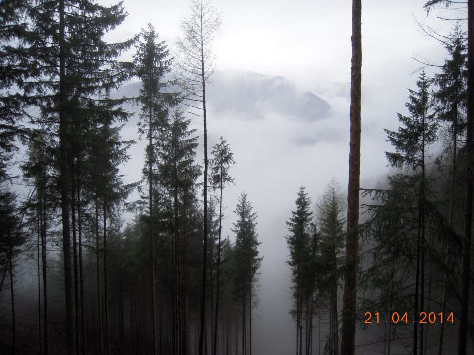 Nebel im Pustertal Naturhotel Miraval