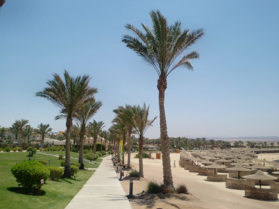Strand Jaz Dar EL Madina