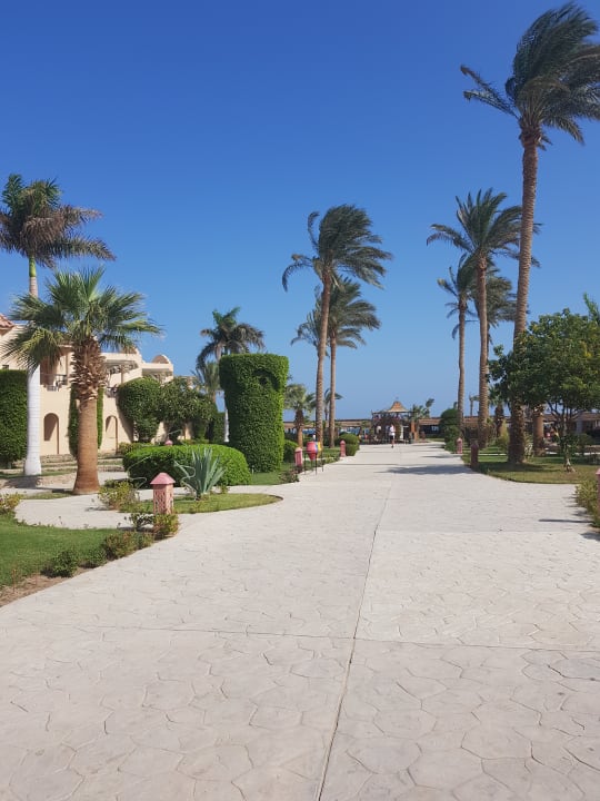 Gartenanlage Ali Baba Palace Hotel
