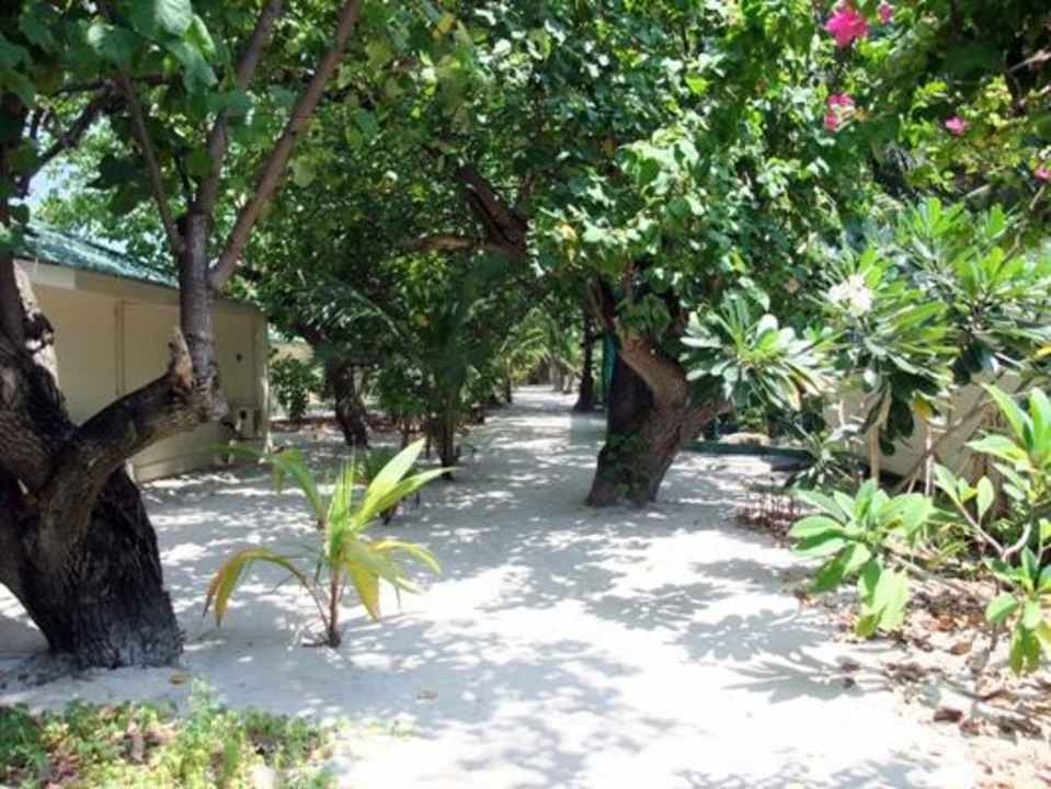 Im Inselinneren Eriyadu Island Resort